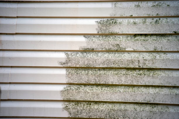 Best Wood Siding Installation  in Prattville, AL