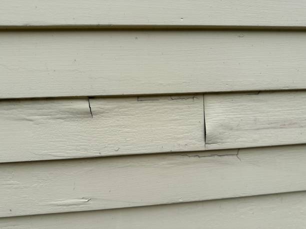 Affordable siding repair and maintenance services in Prattville, AL